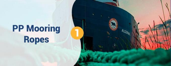 थोक 220 एम सफेद उच्च शक्ति पीपी पॉलीप्रोपाइलीन 8 स्ट्रैंड 68 मिमी लंगर रस्सी के लिए 0